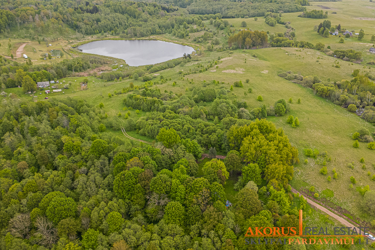 Molėtų r. sav., Piliakiemiai, Laisvės g.