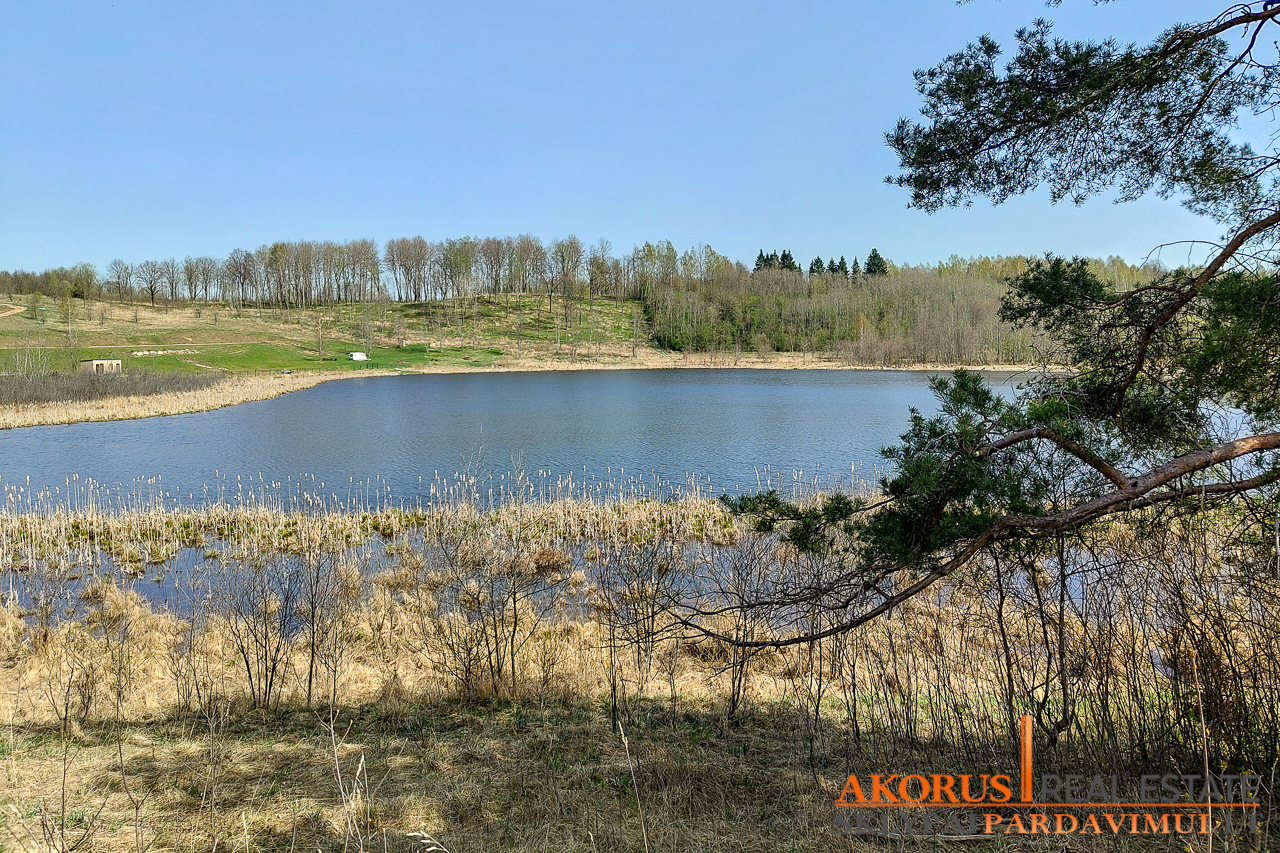 Molėtų r. sav., Piliakiemiai, Laisvės g.
