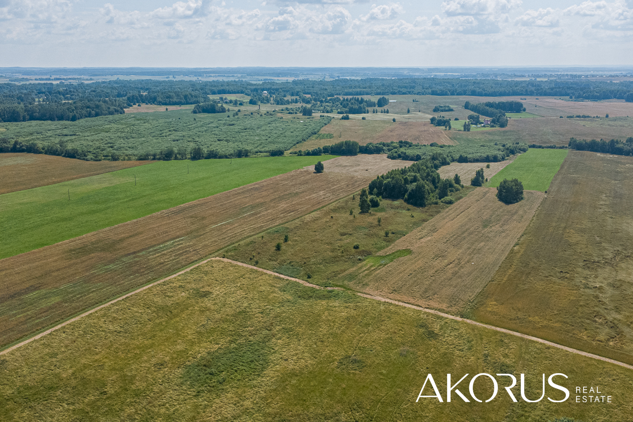Širvintų r. sav., Levaniškės, Granito g.