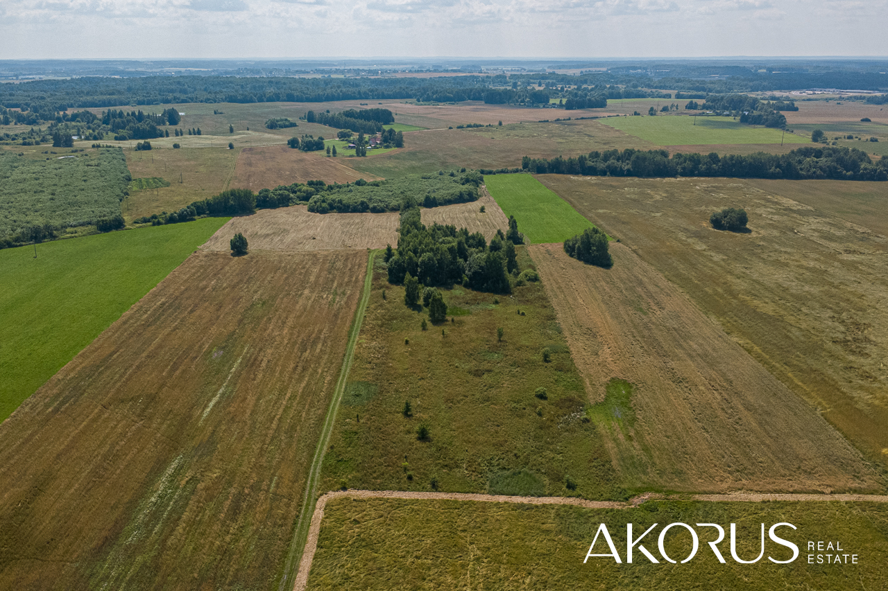 Širvintų r. sav., Levaniškės, Granito g.
