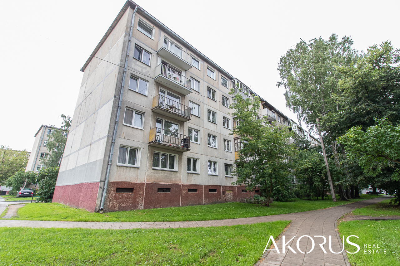 Vilniaus m. sav., Naujamiestis, Savanorių pr.